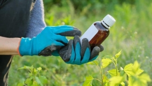 AB iade ediyor, portakal alırken dikkat