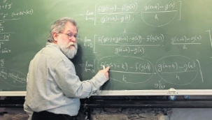 Ali Nesin, Erdoğan'a hakaret davasından beraat etti