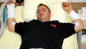 "Siz bir de ayıyı görün."