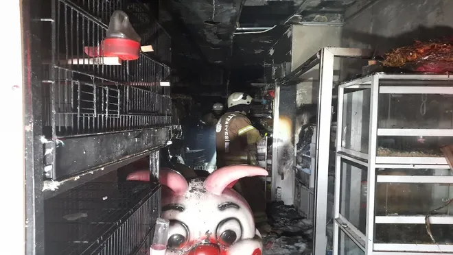 Bayrampaşa'da pet shopta yangın çıktı