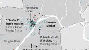 Bilinen ilk Covid-19 hastası bulundu