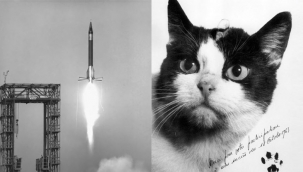 Uzaya giden ilk kedi: Félicette