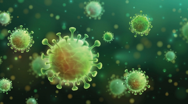 Güney Afrika'da yeni Covid varyantı tespit edildi