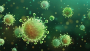 Güney Afrika'da yeni Covid varyantı tespit edildi