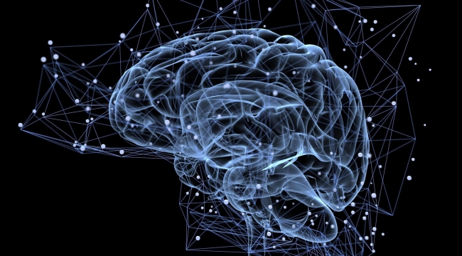 Japonya'da "hafıza silme" deneyi yapıldı