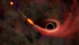 Kara deliklerin yıldızlardaki etkisi simüle edildi