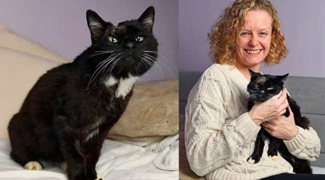 14 yıl önce kaybolan kedisine kavuştu