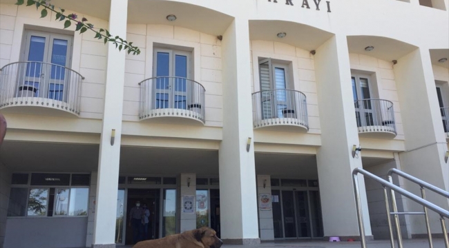 Bodrum Vergi Dairesi Müdürü gözaltında
