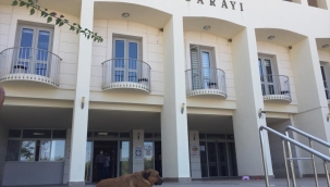 Bodrum Vergi Dairesi Müdürü gözaltında