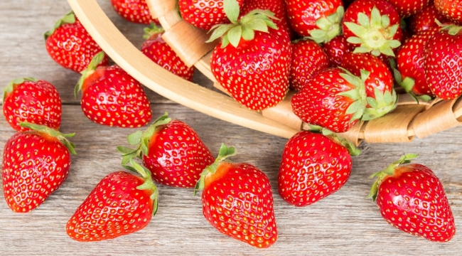 Çöp kokusu mantar ile çilek kokusuna çevrildi