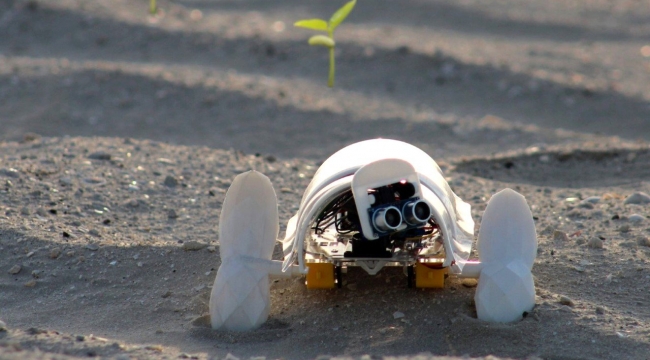 Daha yeşil bir gelecek için: A'seedbot