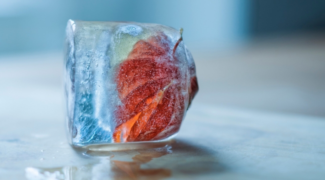 Erimeyen buz üretildi