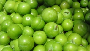 Yeşil eriğin 50 gramı 40 TL'ye satılıyor