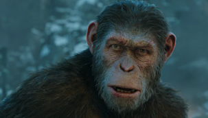 Hindistan'da maymunlar köpeklere savaş açtı