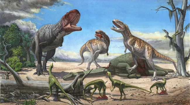 Londra Doğa Tarihi Müzesi, bu yıl 552 canlı keşfetti