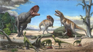 Londra Doğa Tarihi Müzesi, bu yıl 552 canlı keşfetti