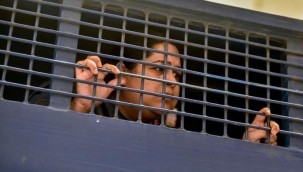 RSF'nin 2021 bilançosu: 488 gazeteci hapiste