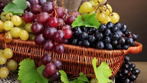 Rusya bazı meyvelerin ithalatını durdurdu