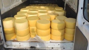 Sivas'ta 2 tona yakın kaçak kaşar ele geçirildi