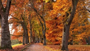 Son 50 yılın en sıcak ayı