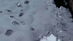 Ukrayna'da siyah kar yağdı