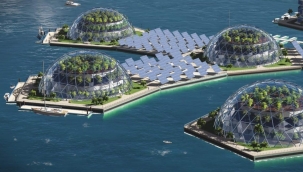 OCEANIX'den yüzen şehir projesi