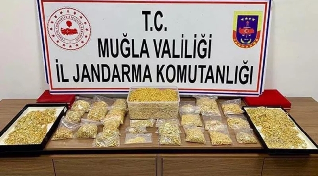 16 kilo altını çalan hırsızlar yakalandı 