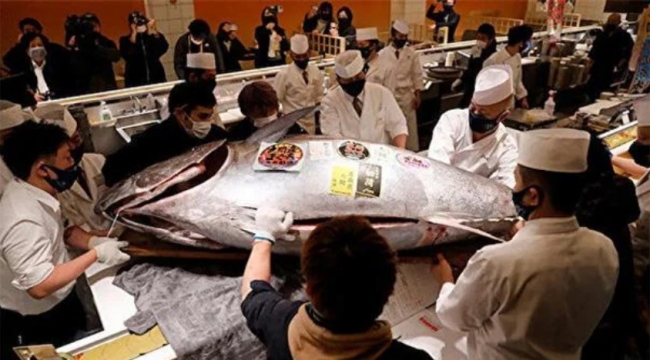 Japonya'da bir "orkinos" 1,9 milyon TL'ye satıldı