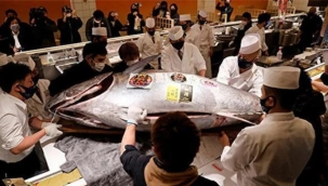 Japonya'da bir "orkinos" 1,9 milyon TL'ye satıldı