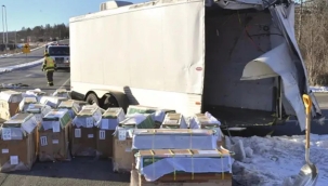 ABD'de maymun taşıyan araç kaza yaptı