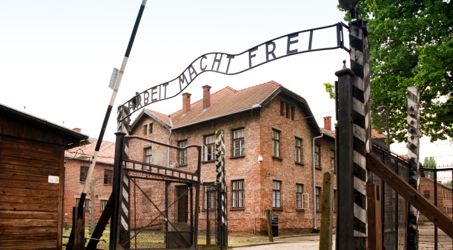 Auschwitz'te Nazi selamı veren turiste gözaltı