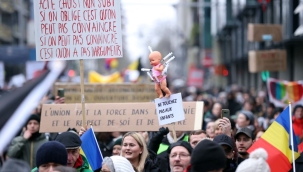 Brüksel'deki Covid protestocuları polisle çatıştı