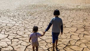 Soyu tükenen canlı türü sayısı rekor seviyede!