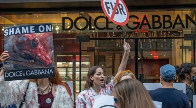 Dolce&Gabbana, gerçek kürk kullanmayı bırakıyor