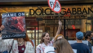 Dolce&Gabbana, gerçek kürk kullanmayı bırakıyor