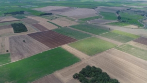 Ev fiyatları artınca vatandaş arsalara yöneldi