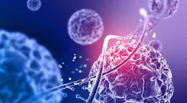 İlk omurilik kök hücre nakli gerçekleştirildi