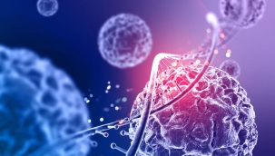 İlk omurilik kök hücre nakli gerçekleştirildi