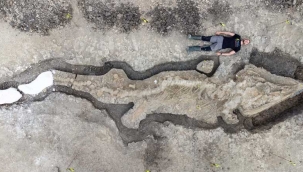 İngiltere'de deniz ejderhası fosili bulundu