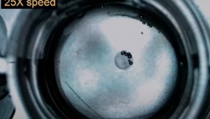 Elektriksiz çalışan ilk sıvı robotlar üretildi