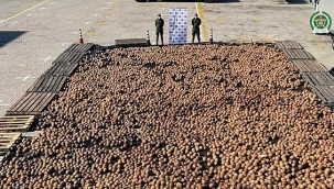 Kolombiya'da Hindistan cevizi içine kokain