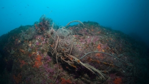 Marmara Denizi'nden 5 dönümlük ağ çıkarıldı