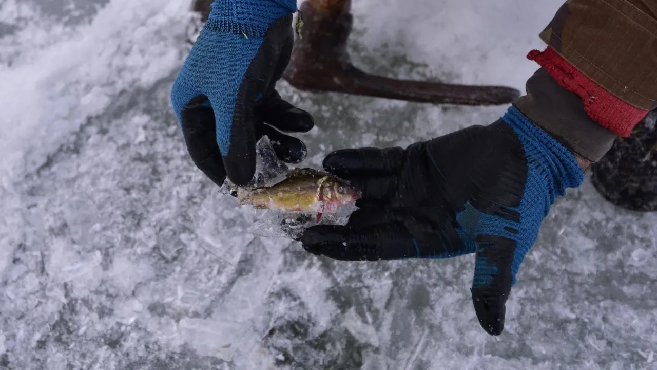 Nazik Gölü balıklarıyla birlikte dondu