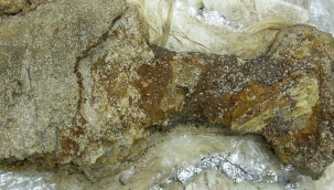 Paslı Viking kılıcı X-ışınları ile tarandı