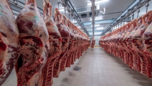 İran gazı kesti, sanayilerde 3 gün elektrik yok