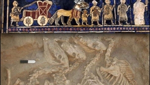 Tarihin ilk biyomühendislik ürünü: Kungalar