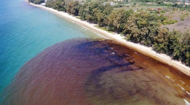 Tayland'da petrol sızıntısı doğu kıyılarına ulaştı