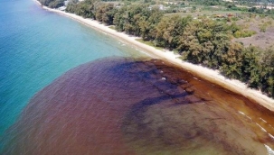 Tayland'da petrol sızıntısı doğu kıyılarına ulaştı