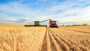 Türkiye, Rus tarım ürünleri ithalatında 1'inci