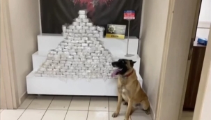 Yolcu otobüsünde 98,4 kg eroin yakalandı